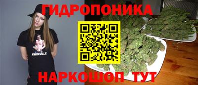 трава Лесосибирск