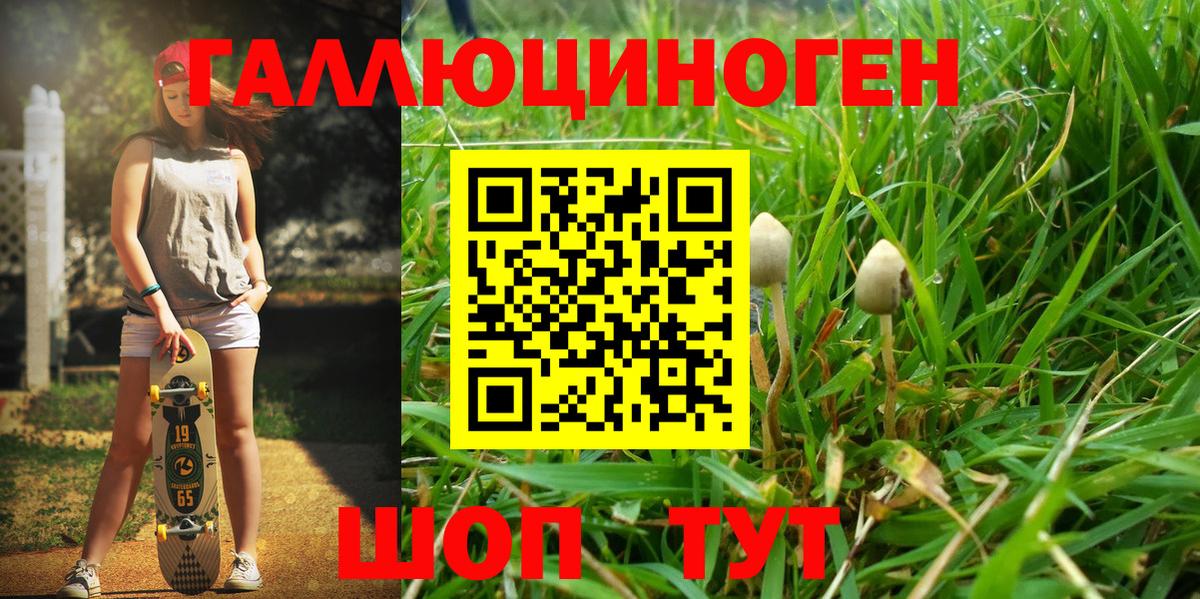 Псилоцибиновые грибы MAGIC MUSHROOMS Гатчина
