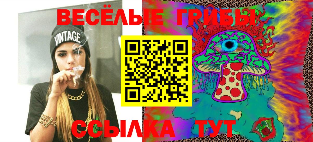Гатчина  хочу наркоту  Вход с VPN  Псилоцибиновые грибы MAGIC MUSHROOMS  Псилоцибиновые грибы Cubensis 